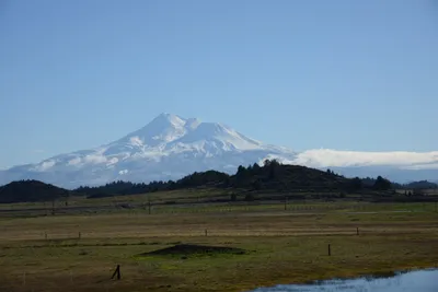 DSC_1049 (Large).JPG